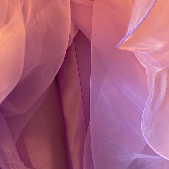 💜 Prom/Formal Gown - Picture 8 of 17